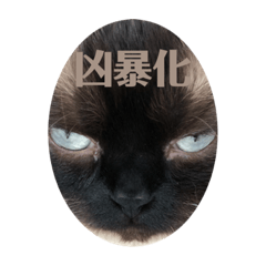 kii_20210807214415