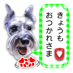 Pepper's cheer on sticker for Dad