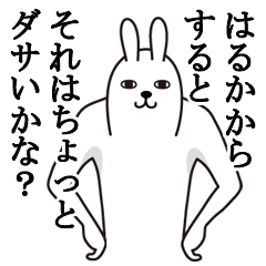 Fun Sticker gift to haruka Funny rabbit