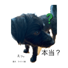 akiko_20210810151806