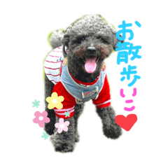 ひじきひじきがんもがんも