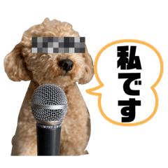 naho_20210811055803