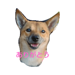 tomomi_20210810181525