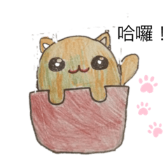 貓咪麗麗的一天