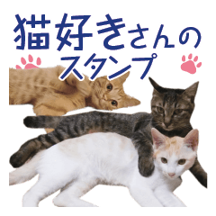 Cat lover's sticker