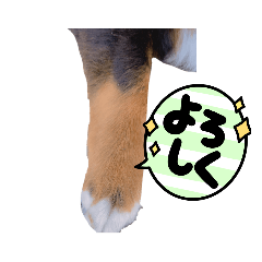 cocoa_20210811113118