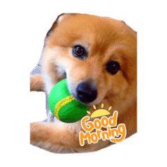 Hikari_20210810214445