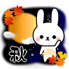 Frequently used message Rabbit 12