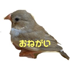 yuka_20210811123313