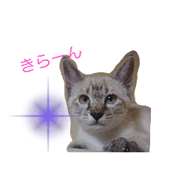 kaori_20210810225427