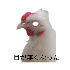 tori_555