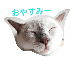 Kitty stamp