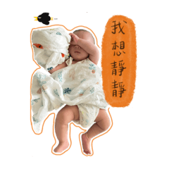 小便當☻軒寶