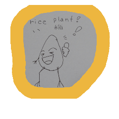rice plant
