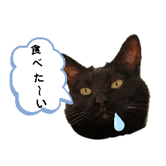 kurosuke_20210811133213