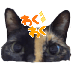 ayumi_20210811133528