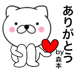 Name cat morimoto