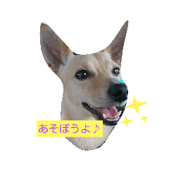 tomomi_20210810231254