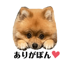 ponzu_20210810235922