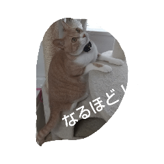 Rei_20210810190618