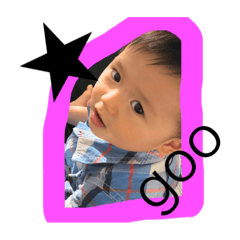 kota3