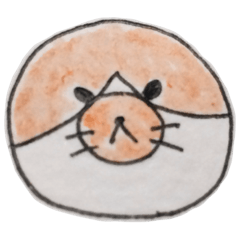An illustration cat stickers