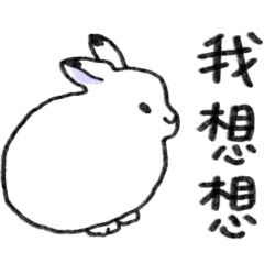 Rabbit_Arctic Hare