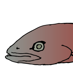 Oilfish Head