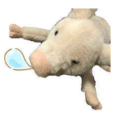 pig_group