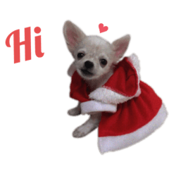 Smile_20210810192107