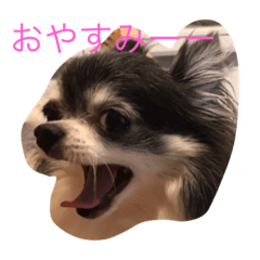 goesaki