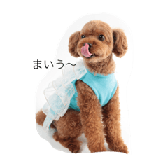 tono&himeka