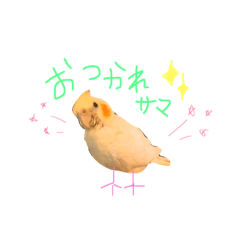 Daily life of chill of OKAMEINKO