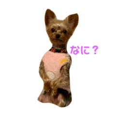 azu_20210812094529