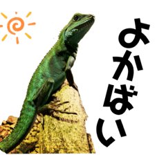 Ken punk_20210812094423