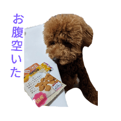 kuu_20210811193956