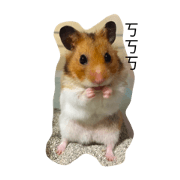 A Pu