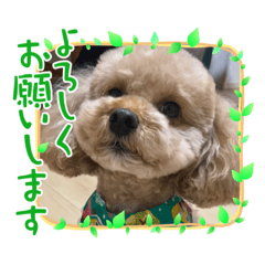 Su-chan of Souffle