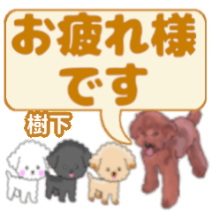 Juka's. letters toy poodle