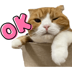 arisa_20210812095736