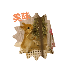 YK_20210811203154