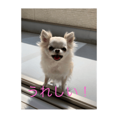 Risa_20210812090137