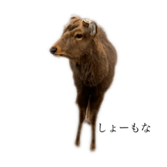 Yamada_20210812131104