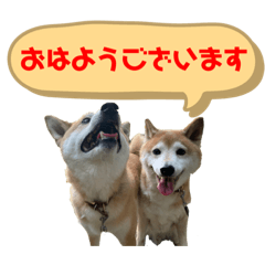 Hachi and Bunta_20210812134416