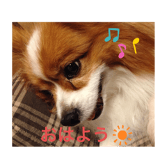 arisa_20210812121746