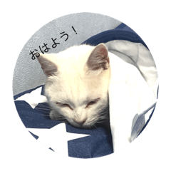 chihiro_20210812124453