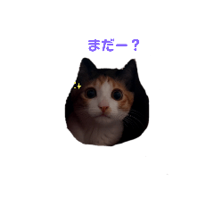 hana_20210812133224