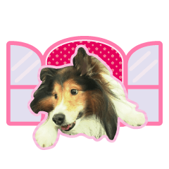 WANCOLONY dog Sticker