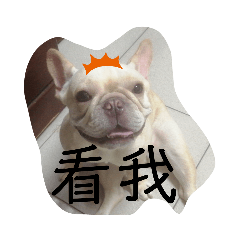 如如家的可愛法鬥說...