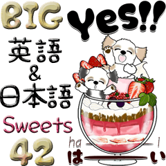 【Big】シーズー42『英語＆日本語』Sweets